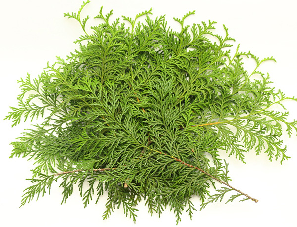 木の家具のメリット:木の香りでダニ防除