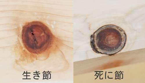 ひのきの生き節と死に節