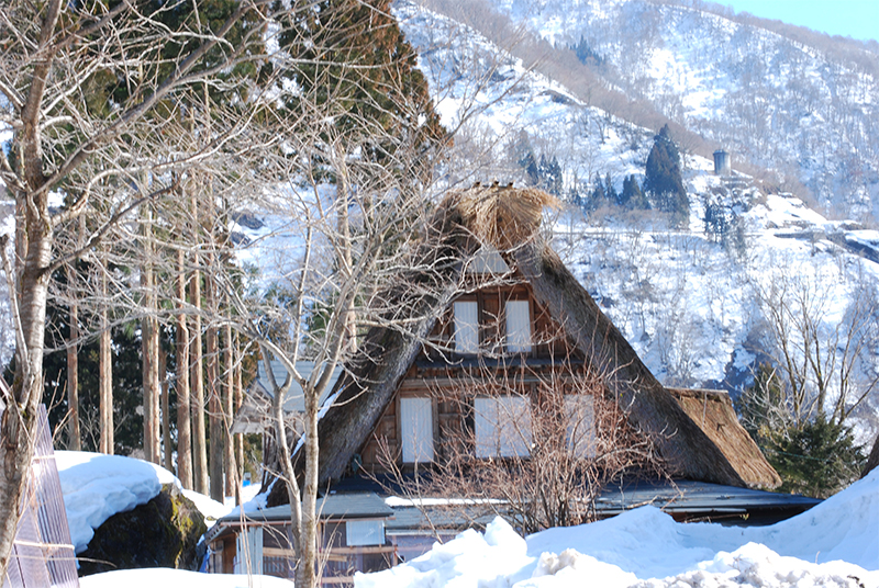 ひのき産地冬の風景