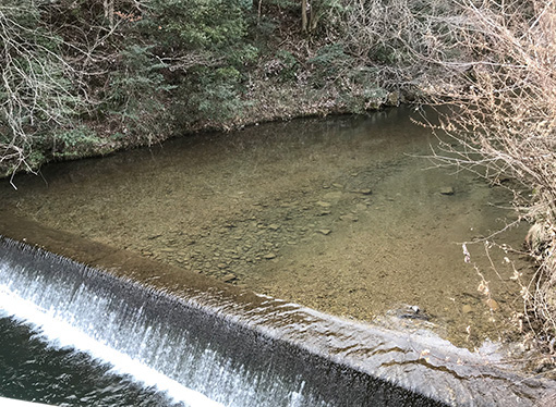 ひのき工場の脇を流れる川１