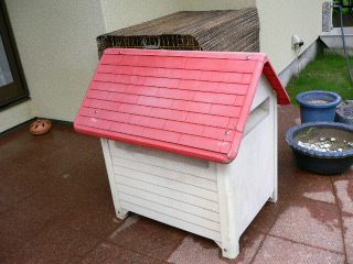 犬小屋3